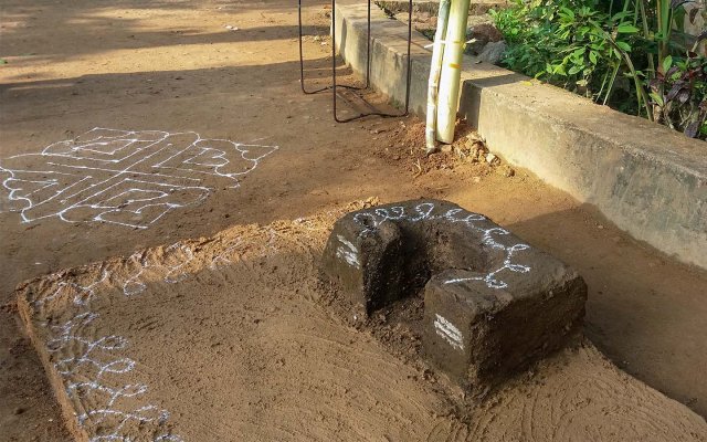 තෛපොංගල් උත්සවය 2019
